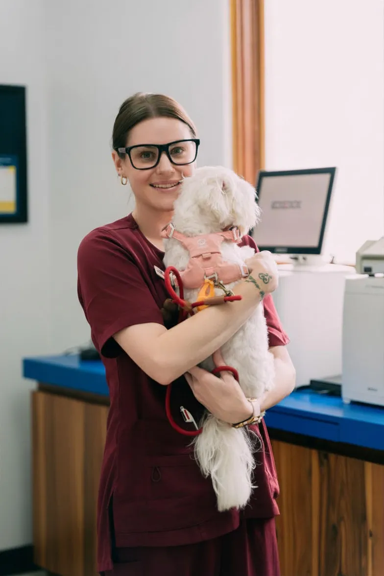 Shiloe — Consulting Veterinary Nurse at Waverley Gardens Vet