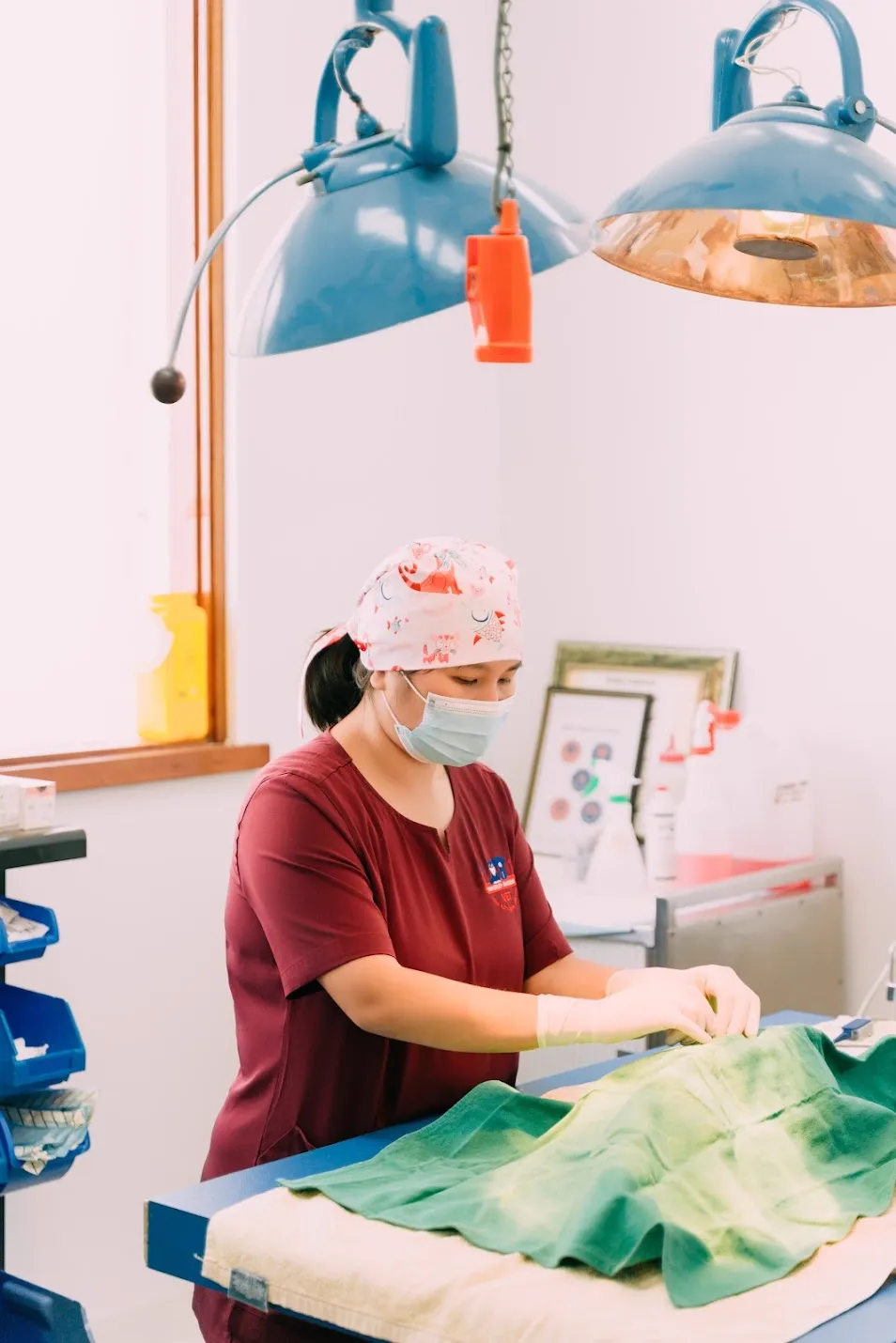 Surgery at Waverley Gardens Vet