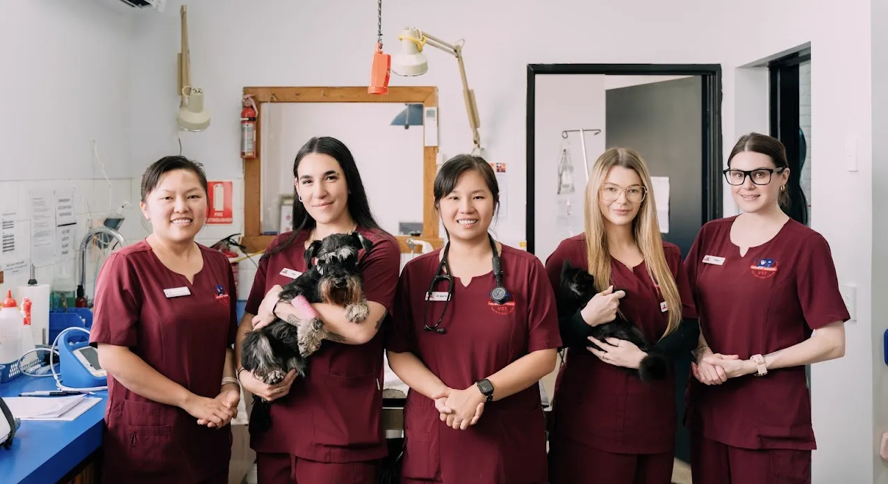 The team at Waverley Gardens Veterinary Hospital — Mulgrave VIC